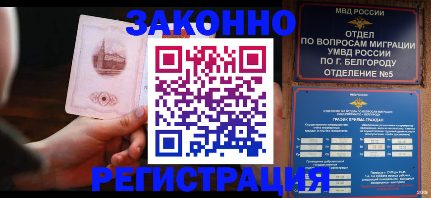 прописка 2025 в Шумихе